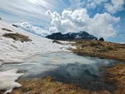 Salita al Monte Campo con distese di crocus e al Laghetto di Pietra Quadra ancora con tanta neve il 9 maggio 2013 - FOTOGALLERY